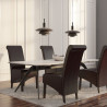 Ruokapöydän tuolit puisilla jaloilla 2kpl, ruskea