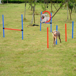 Koiran agility-sarja