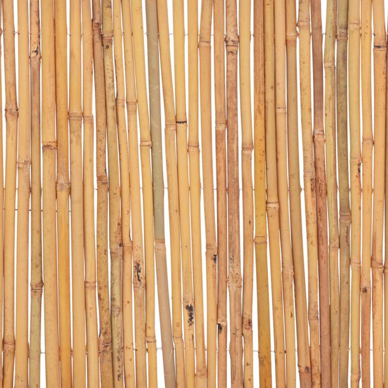 Bambuaita 500x30 cm