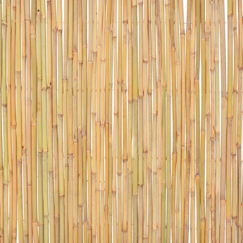 Bambuaita 300x100 cm
