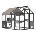 Katso kissan ulkohäkit