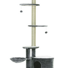 Katso isot kissan raapimispuut