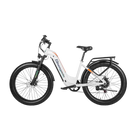 Katso naisten sähköpyörät