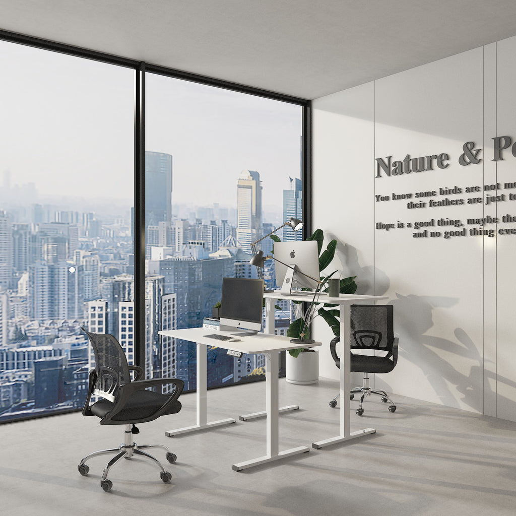 Flexispot Sähköpöytä 120 x 60 Valkoinen