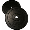 Levypainot, rauta (2x2.5-15kg) 30mm - 10 kg
