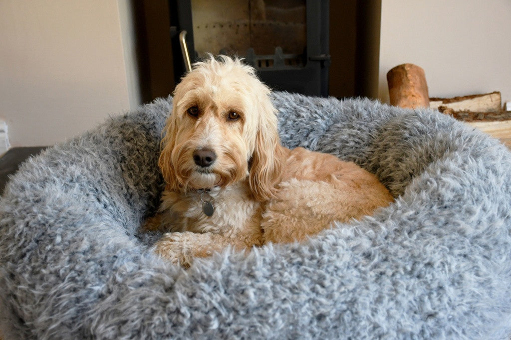 Rosewood rauhoittava koiranpeti, harmaa S