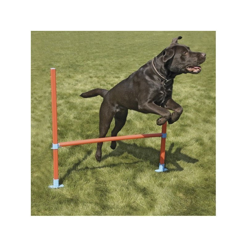 Rosewood Agility-hyppyeste, säädettävä