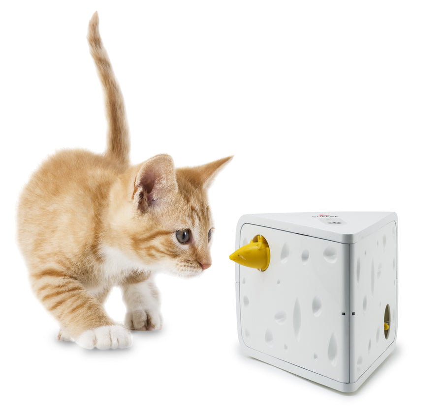 PetSafe kissan aktivointilelu juustotahko, valkoinen
