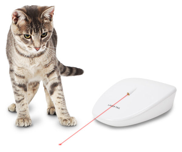 PetSafe aktivitetsleksak för katter med laser för inomhusbruk, vit