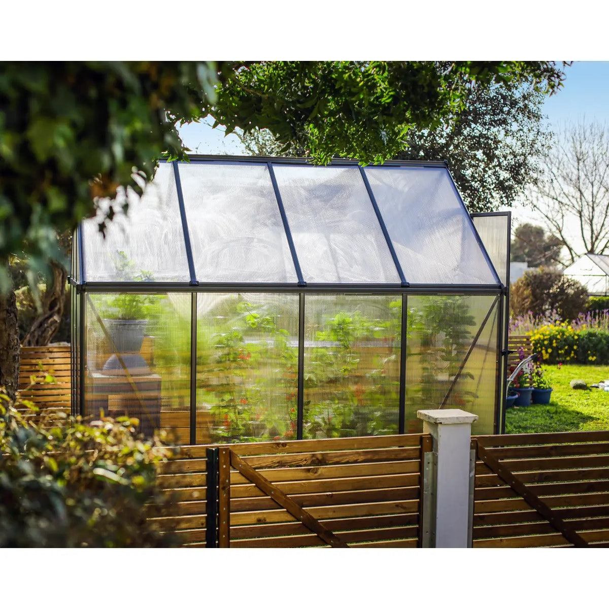Palram – Canopia | MYTHOS Kasvihuone 4,6m2, Harmaa