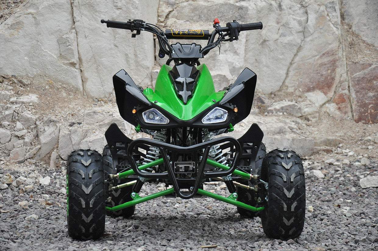 POHJOLA MOTORS Minimönkijä 110CC 1+1, musta-vihreä