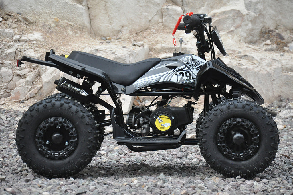 POHJOLA MOTORS Minimönkijä DINO 49cc - Musta