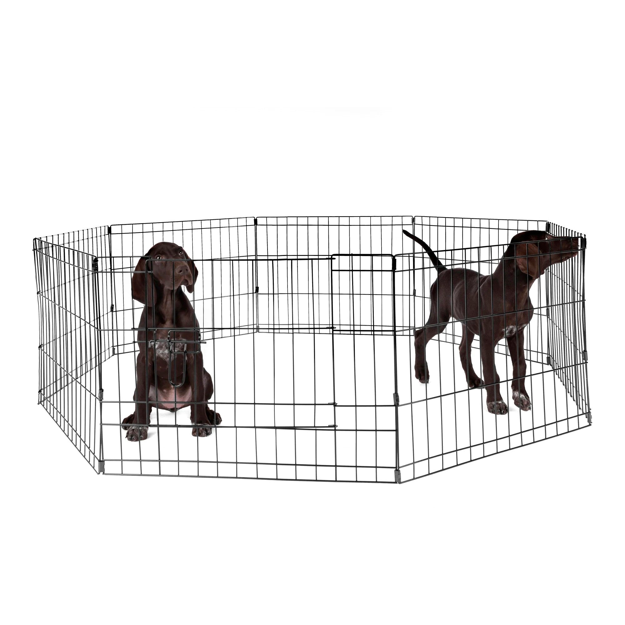 POHJOLAN LEMMIKKITARVIKE Metallinen Pentuaitaus Pennuille, 61 x 61 cm, 8 palaa, Musta