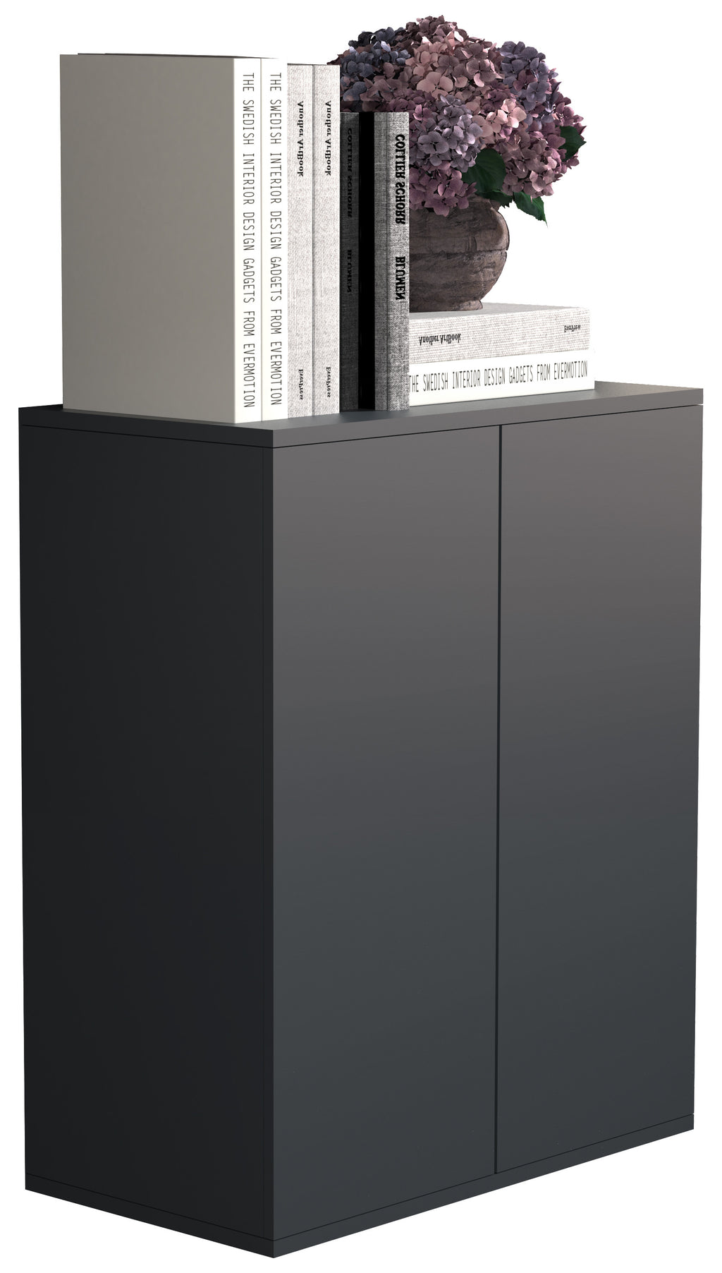 Säilytyskaappi Dalosa 2-säilytystilaa, musta , 73 x 60 x 32 cm