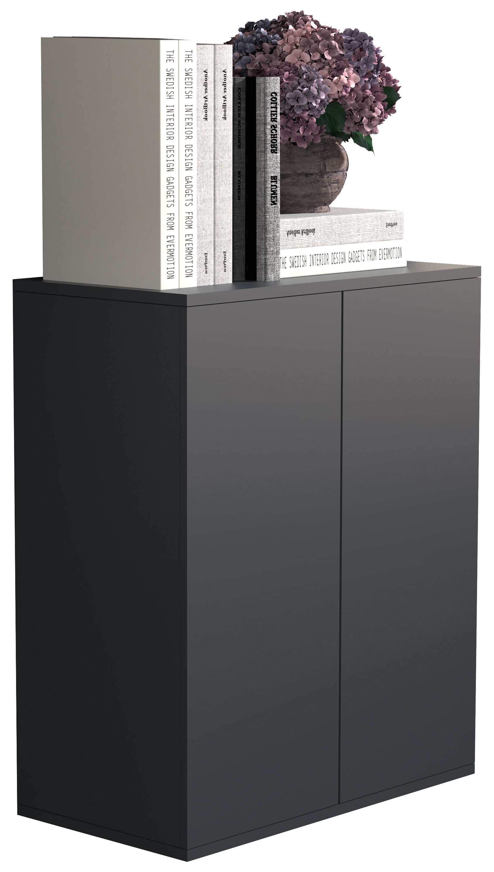 Säilytyskaappi Dalosa 2-säilytystilaa, musta , 73 x 60 x 32 cm