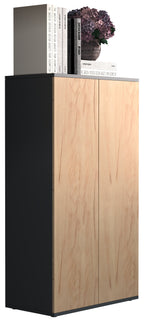 Säilytyskaappi Dalosa 3-säilytystilaa, musta / puu, 108 x 60 x 32 cm