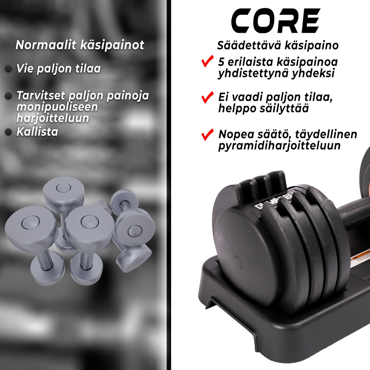 CORE 2X SÄÄDETTÄVÄ KÄSIPAINO 25 KG