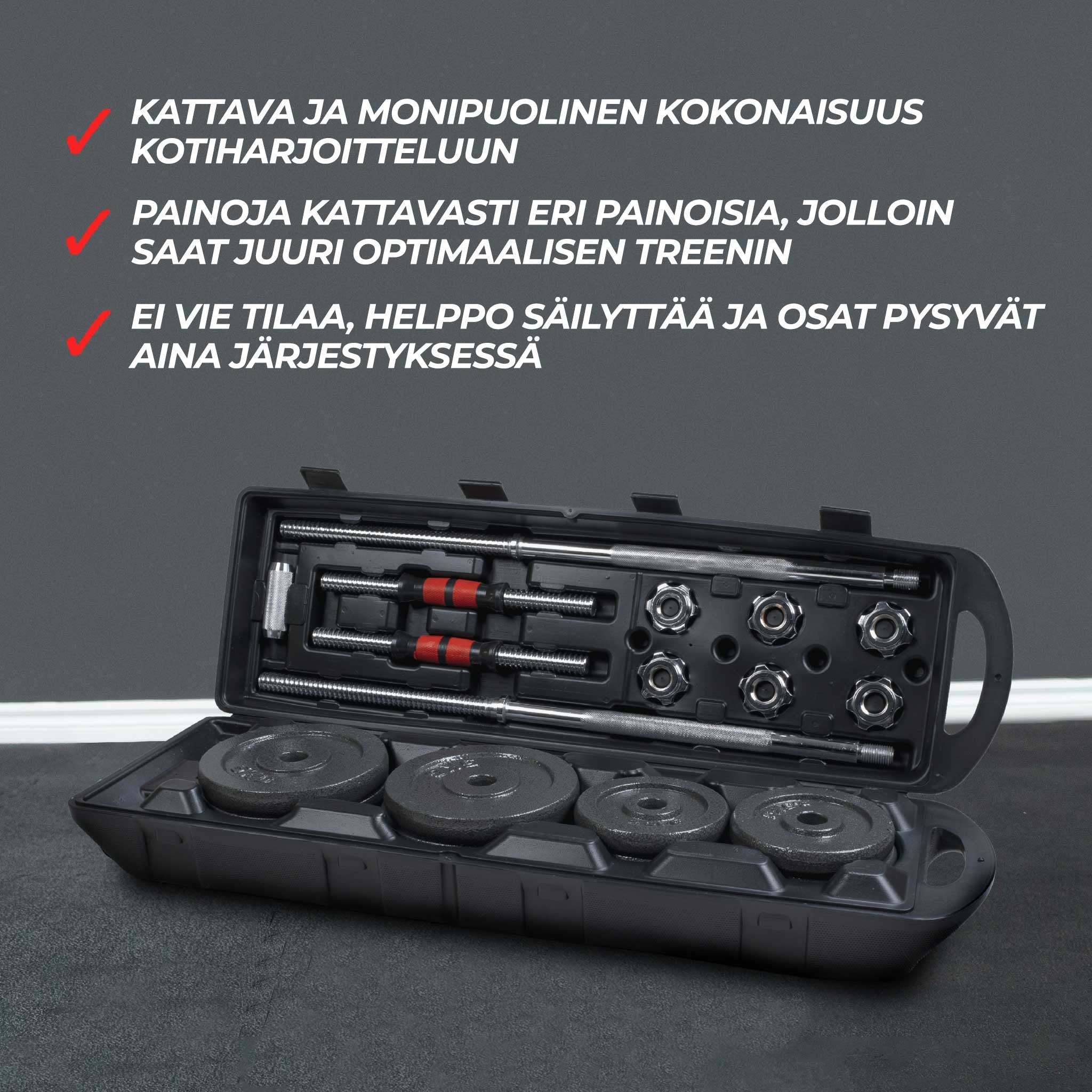 CORE PAINOSETTI 50 KG