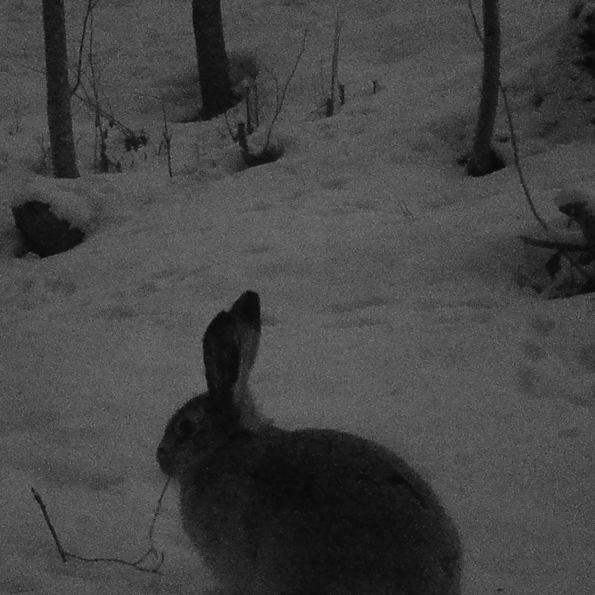 TR RIISTAKAMERA PREMIUM. AKULLA. 4G (RK300-4G-B)