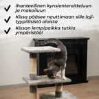 TR KISSAN KIIPEILYPUU BASIC. 80CM