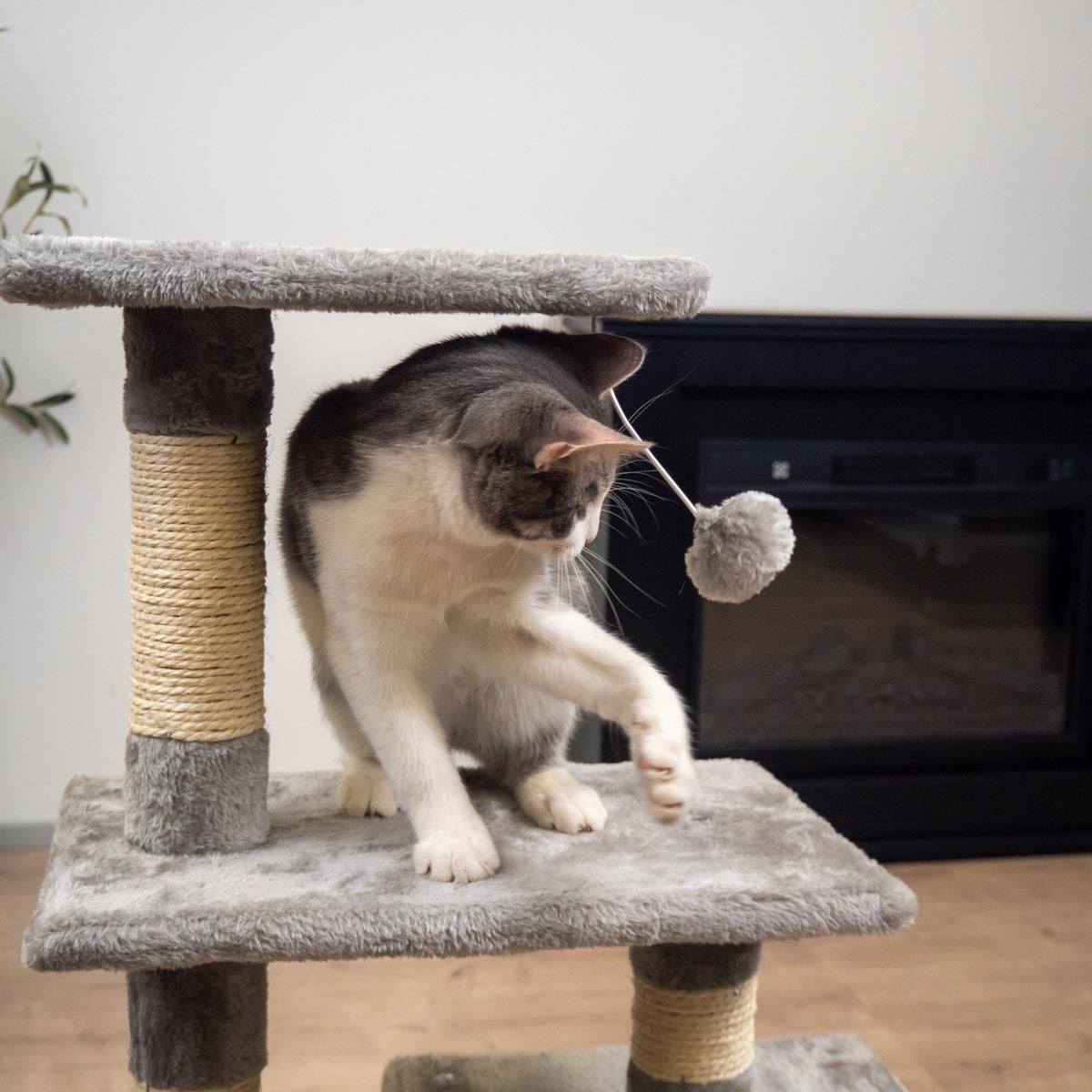 TR KISSAN KIIPEILYPUU BASIC. 80CM