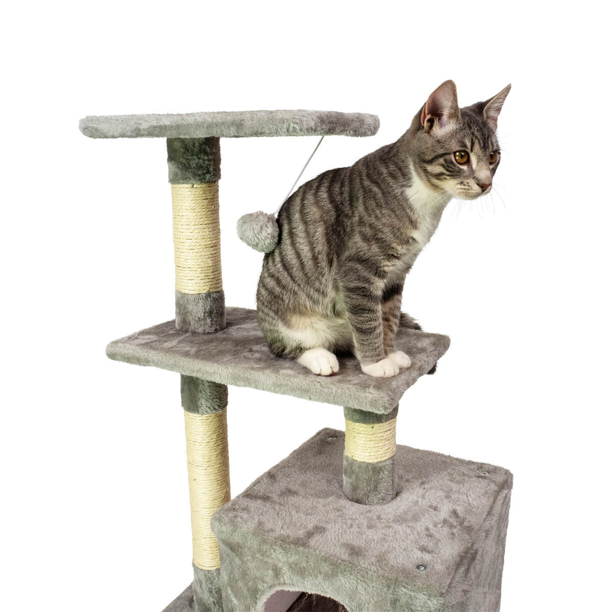 TR KISSAN KIIPEILYPUU BASIC. 80CM