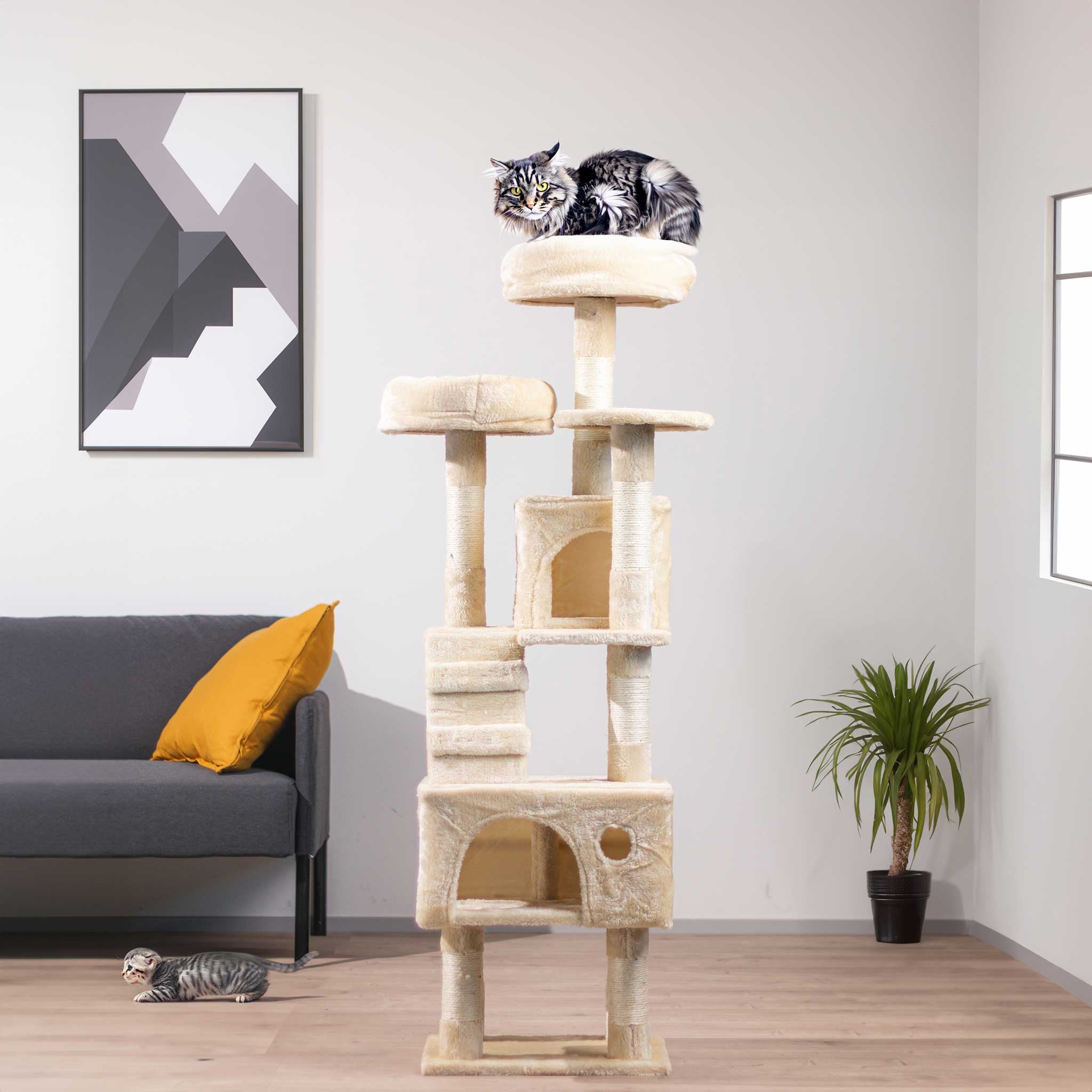 TR KISSAN KIIPEILYPUU GRACIE. 141CM