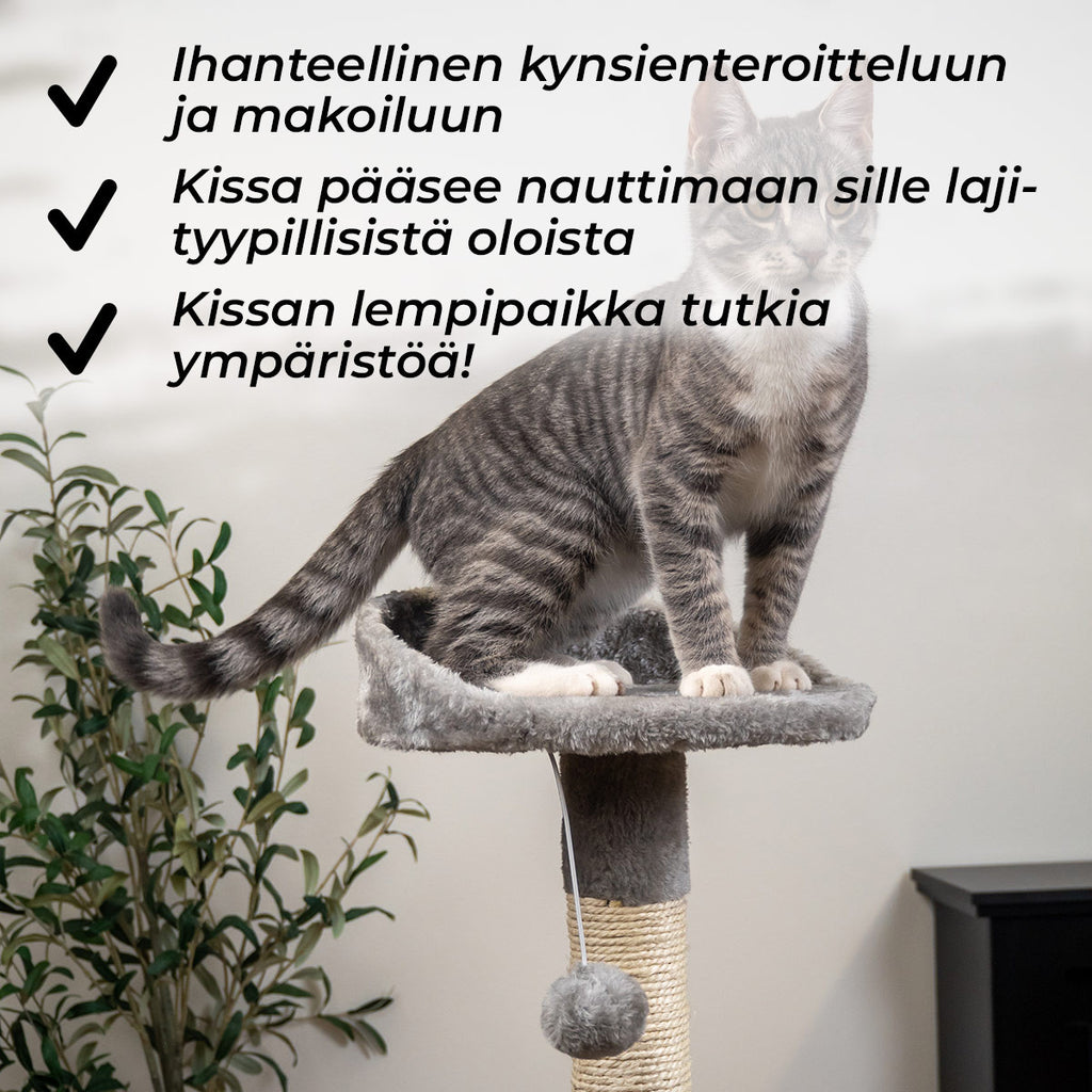 TR KISSAN KIIPEILYPUU HOME. 112CM