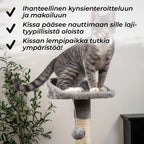 TR KISSAN KIIPEILYPUU HOME. 112CM