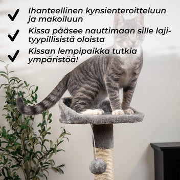 Kisskiipeilypuu Hem. 112 cm