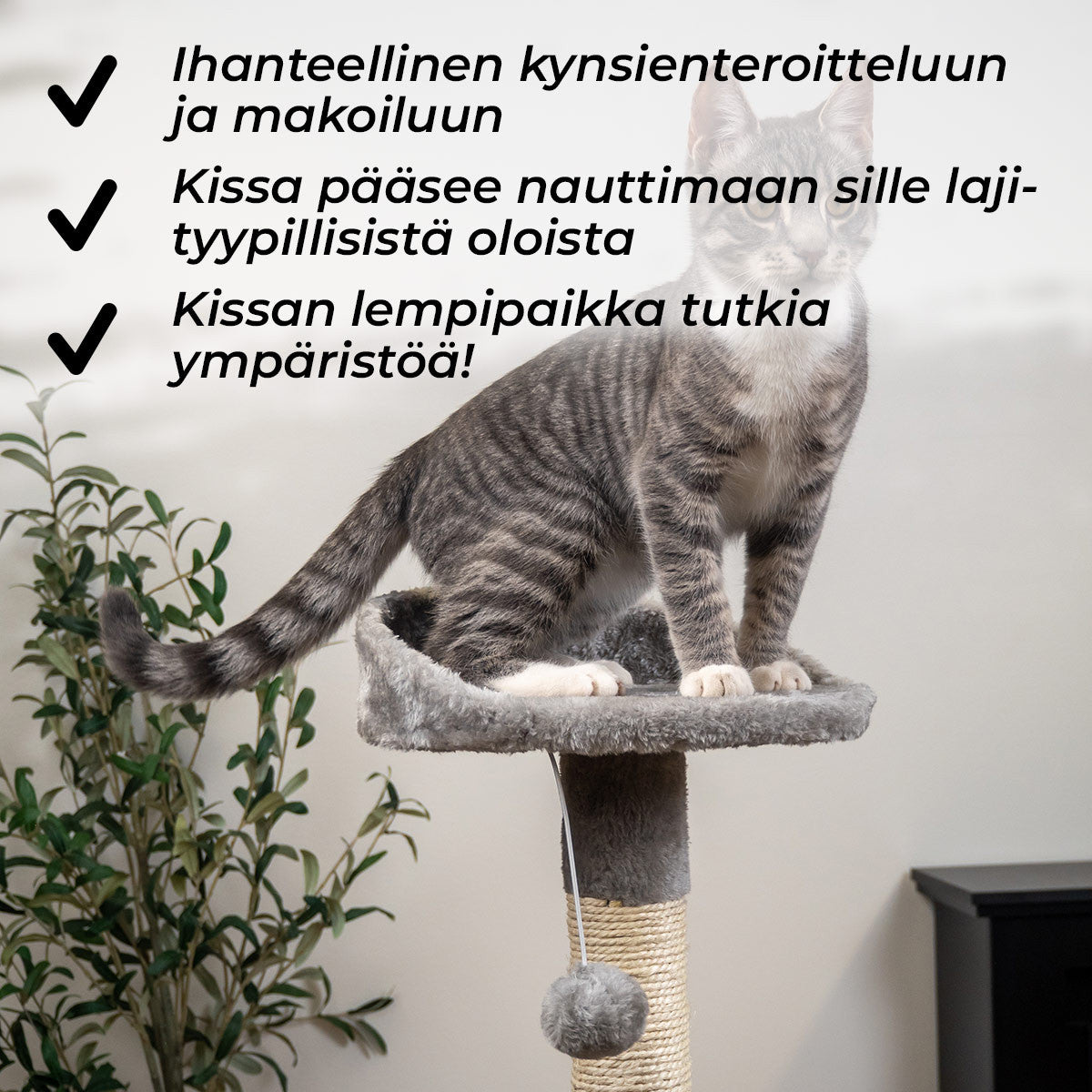 TR KISSAN KIIPEILYPUU HOME. 112CM