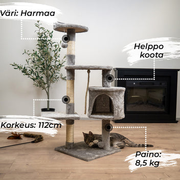 Kisskiipeilypuu Hem. 112 cm