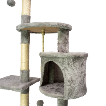 Kisskiipeilypuu Hem. 112 cm