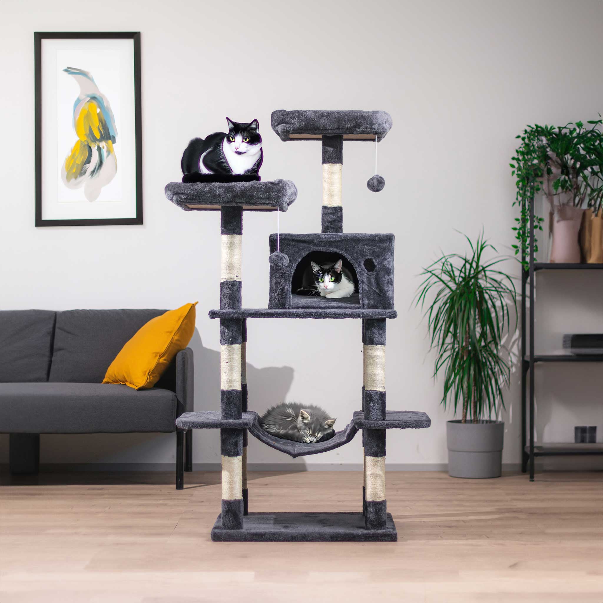 TR KISSAN KIIPEILYPUU MOCHA. 145CM