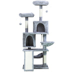 TR KISSAN KIIPEILYPUU RUFUS. 161CM