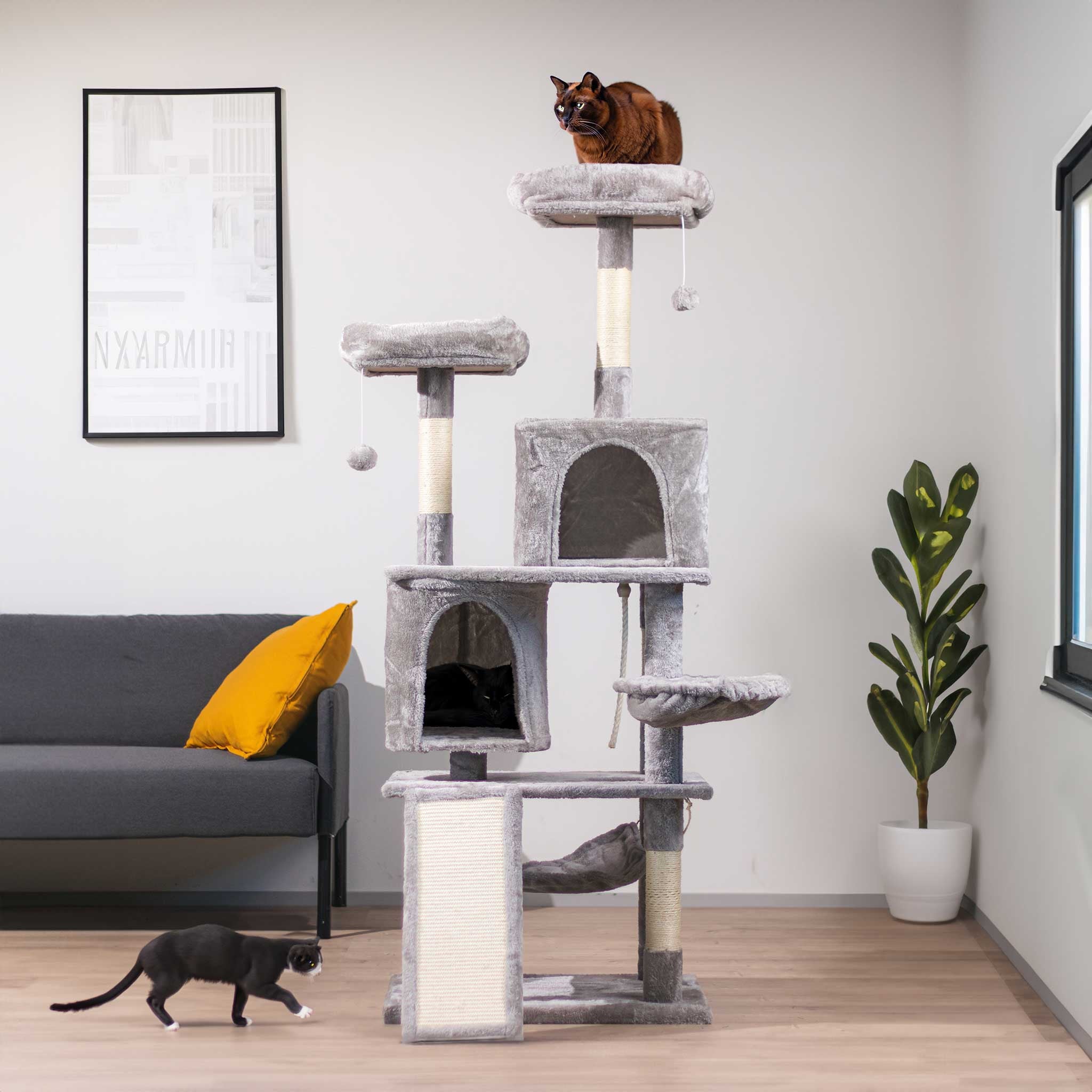 TR KISSAN KIIPEILYPUU RUFUS. 161CM