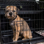 TREKKER KOIRAN KULJETUSHÄKKI KEVYTMETALLI M