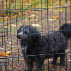 TREKKER PENTUAITAUS 8-PANEELIA L 92X61CM