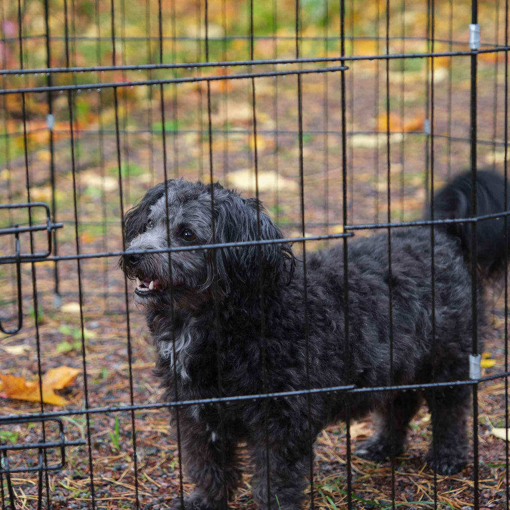 TREKKER PENTUAITAUS 8-PANEELIA M 76X61CM