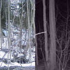 TR 5 x RIISTAKAMERASETTI LÄHETTÄVÄ 2G (RK200-2G)