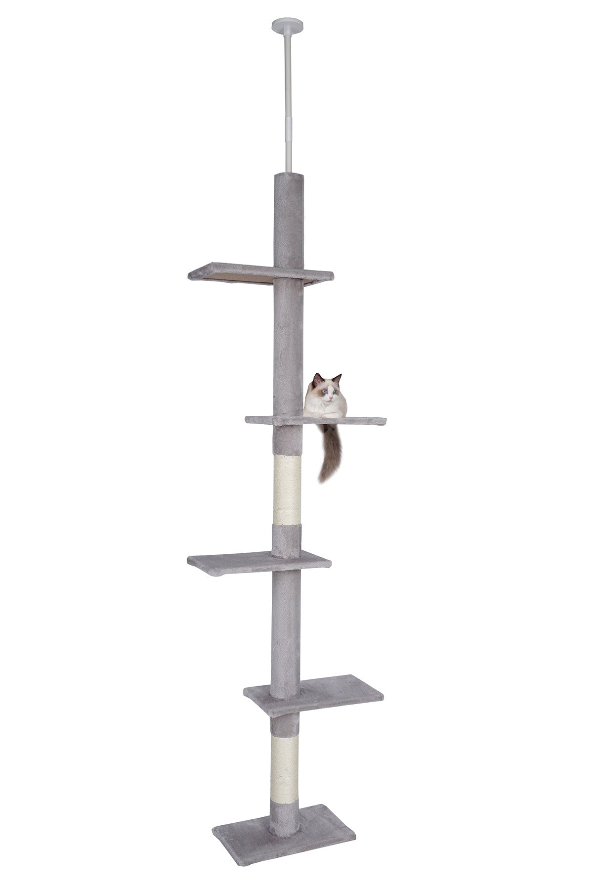 POHJOLAN LEMMIKKITARVIKE Kissan kiipeily-/raapimispuu 229-275 cm, vaalean harmaa