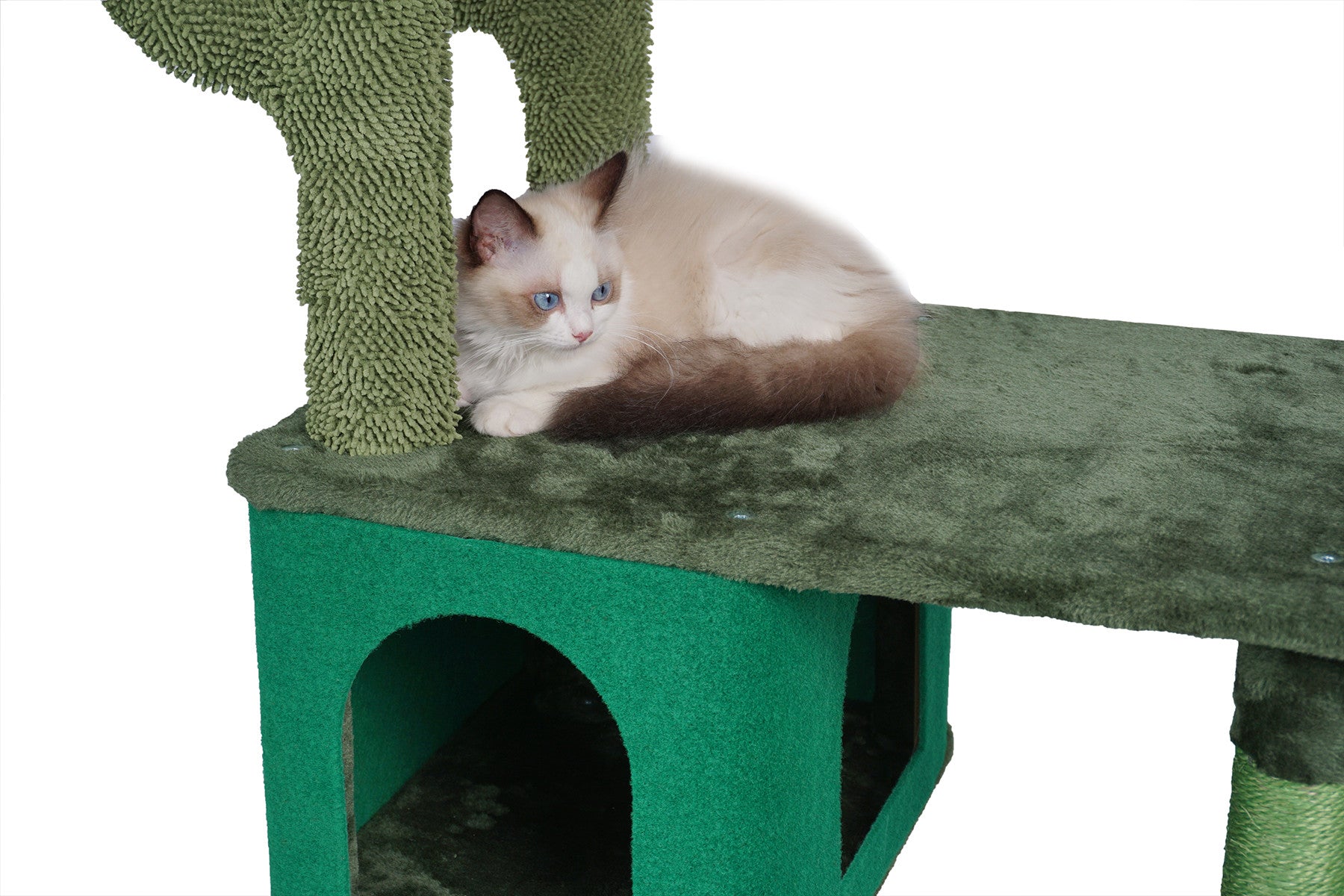POHJOLAN LEMMIKKITARVIKE Kissan kiipeily-/raapimispuu 146 cm, Vihreä
