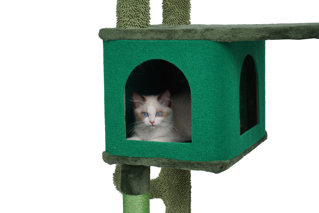 POHJOLAN LEMMIKKITARVIKE Kissan kiipeily-/raapimispuu 146 cm, Vihreä