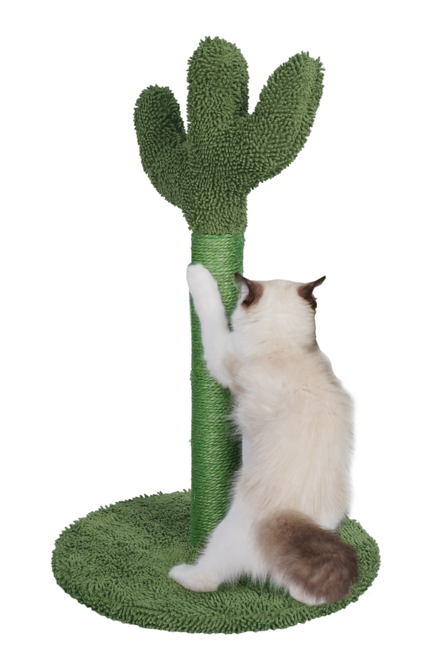 Kattklösbräda 65 cm – kaktusmodell, sisalrep, grön