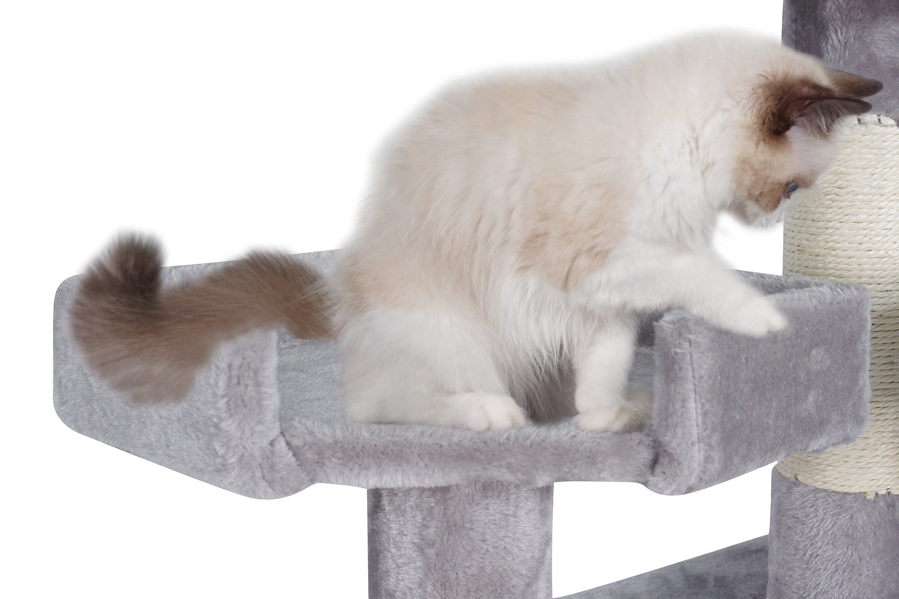 POHJOLAN LEMMIKKITARVIKE Kissan kiipeily-/raapimispuu 170 cm, Vaalean Harmaa