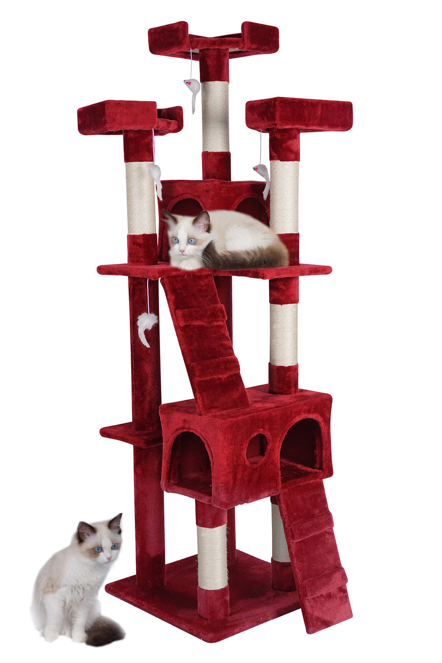 Kattklätterträd 170 cm – 2 grottor, 3 nivåer, 9 cm sisalstolpe, vinröd