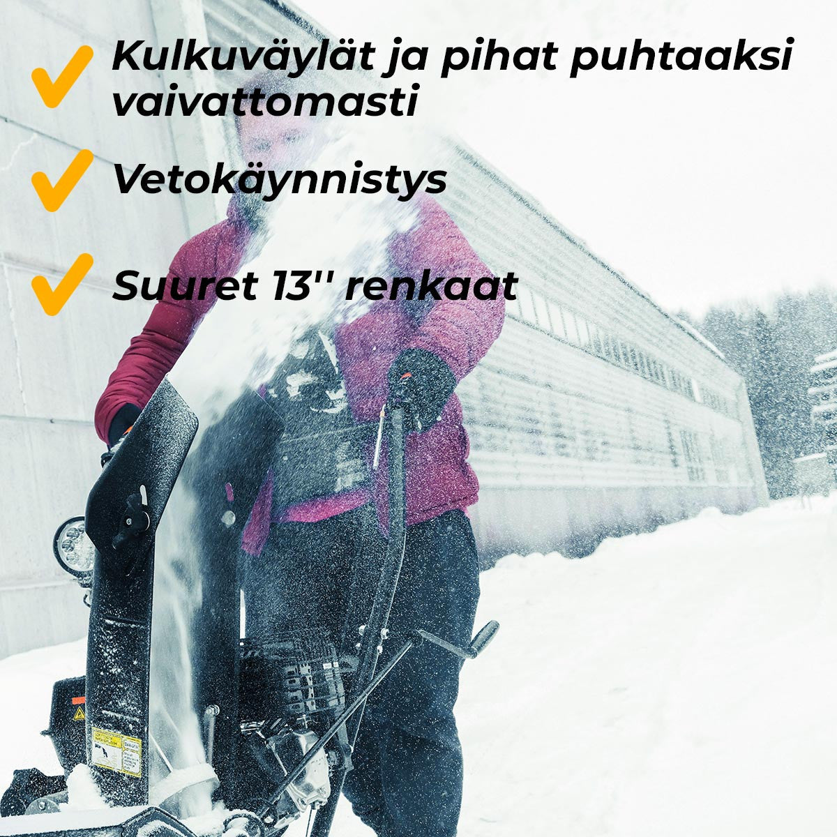 FORNORTH LUMILINKO S4100