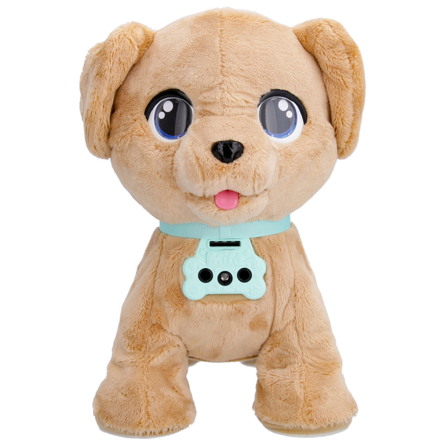 CLUB PETZ MILO