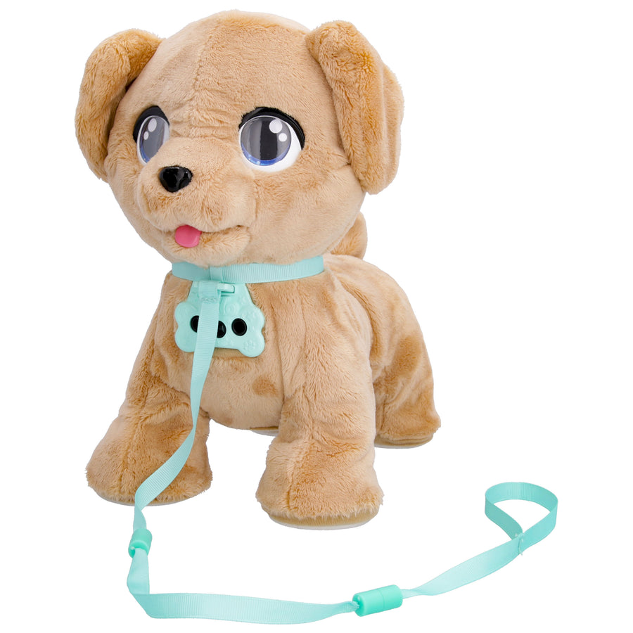 CLUB PETZ MILO