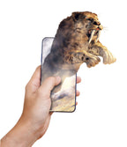 CLEMENTONI HISTORY OF LIFE ON EARTH